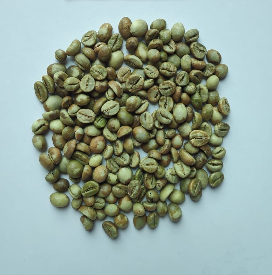 Robusta Coffee